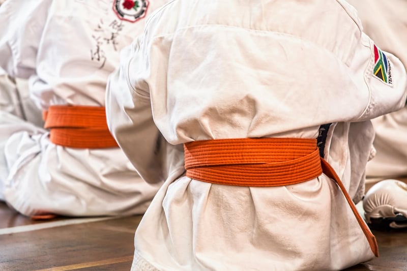 Martial Arts Flow